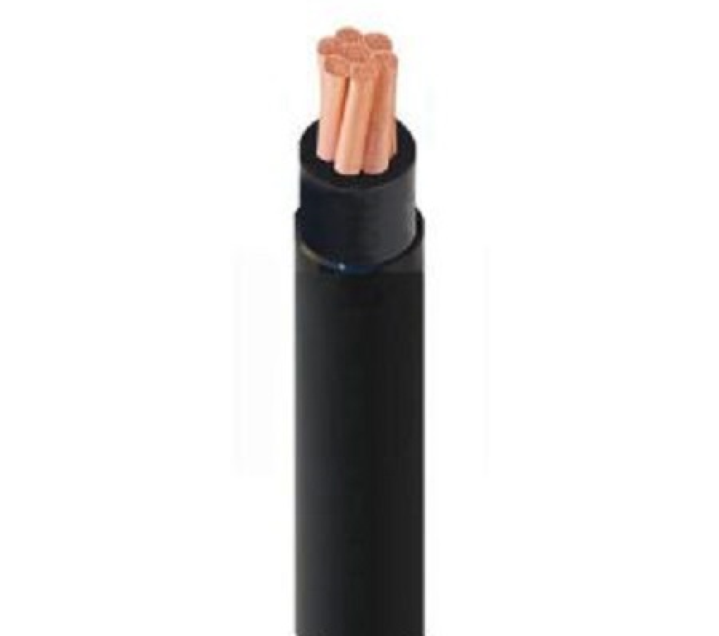 Cáp Điện Hạ Thế CVV 1Cx10mm2