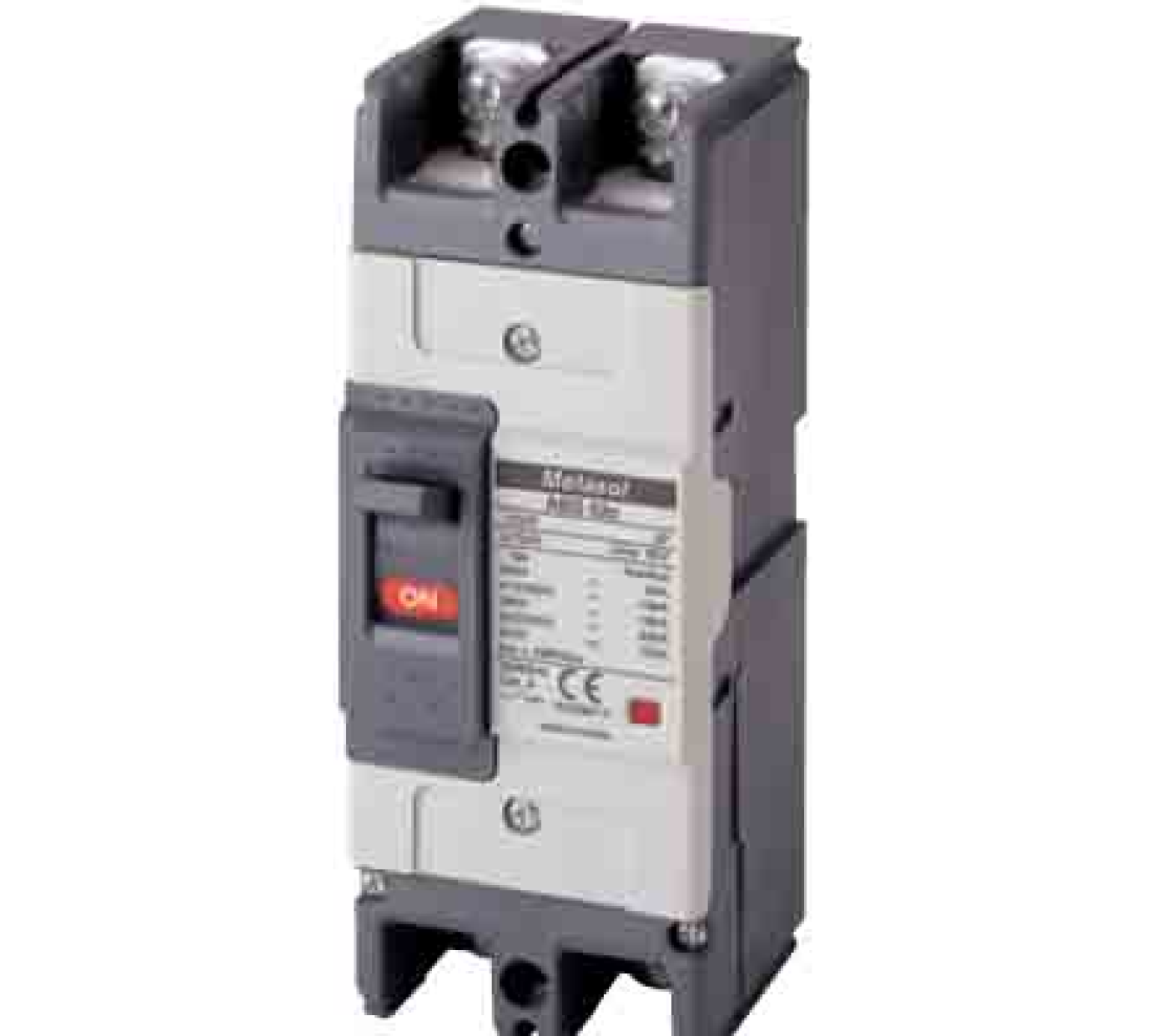Bộ Ngắt Mạch Tự Động 2P 100A 35KA