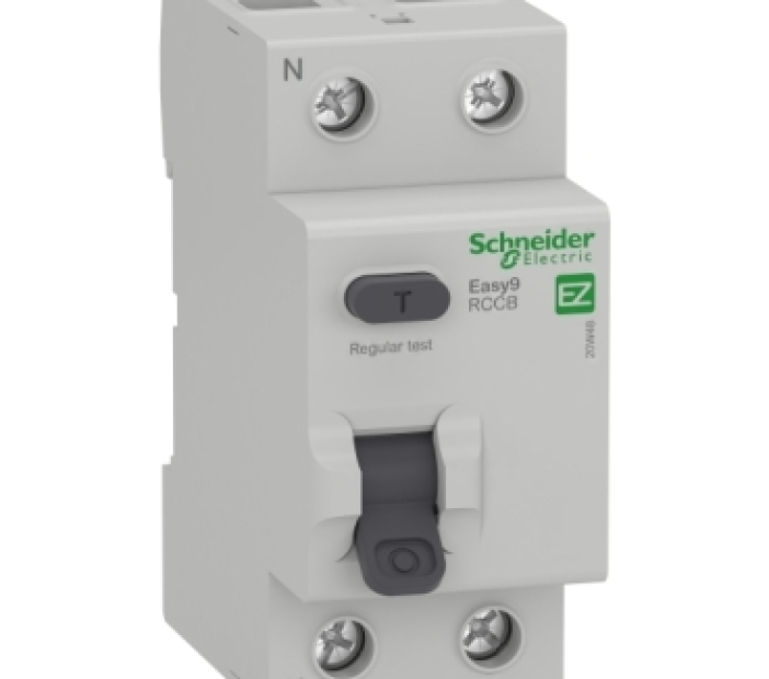 CB chống rò Schneider EZ9R36225 25A 30mA 2P