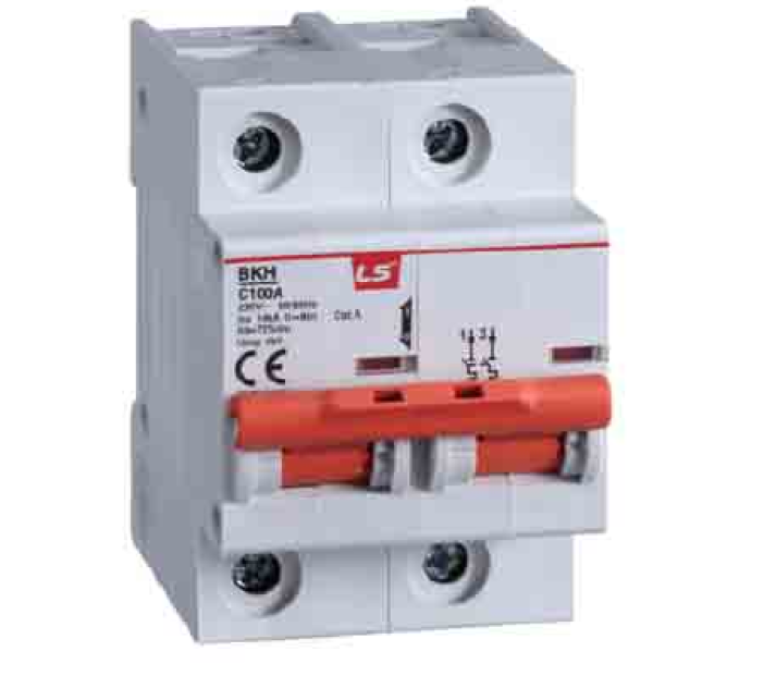 Cầu Dao Tự Động 2P 100A 10KA