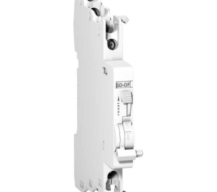 Tiếp Điểm Schneider A9N26929 2C/O SD/OF